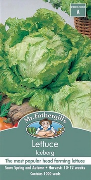 LETTUCE ICEBERG SEED PACKET